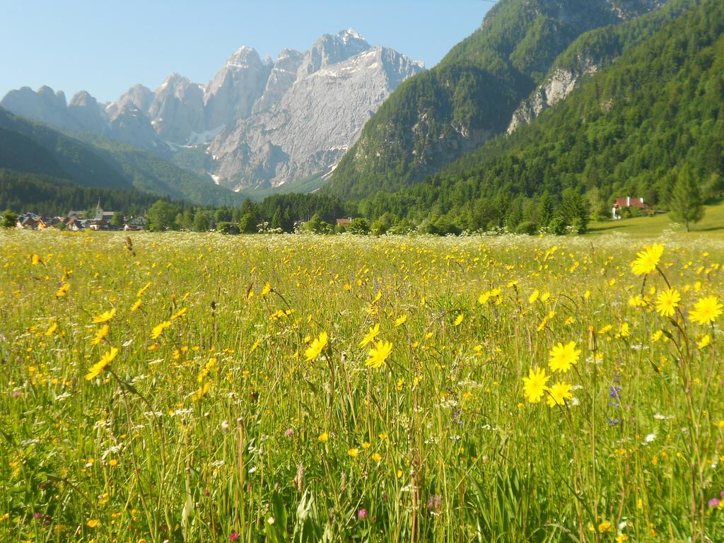 Affittacamere Krajnc Malborghetto Valbruna Exteriér fotografie